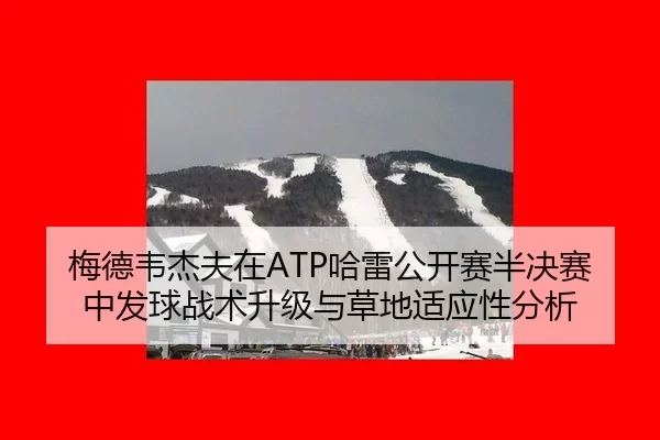 梅德韦杰夫在ATP哈雷公开赛半决赛中发球战术升级与草地适应性分析